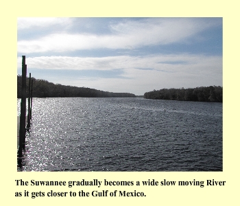 The Suwannee gradually becomes a wide slow moving River as it gets closer to the Gulf of Mexico.