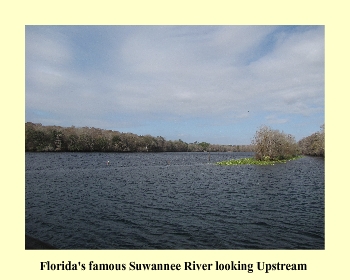 Florida's famous Suwannee River looking Upstream