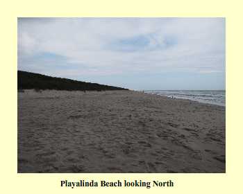 Playalinda Beach looking North