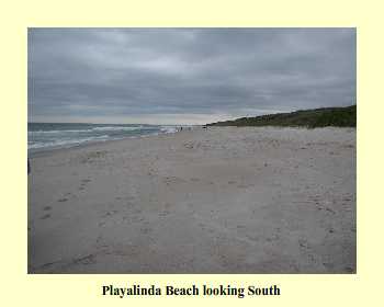 Playalinda Beach looking South