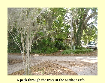 A peek through the trees at the outdoor cafe.