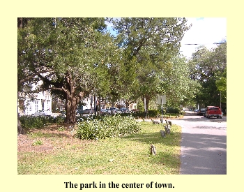 The park in the center of town.