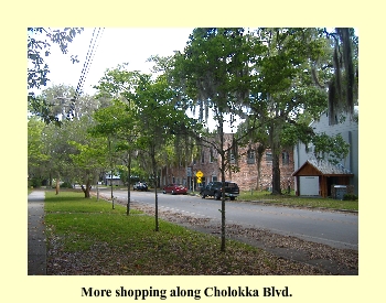 More shopping along Cholokka Blvd.