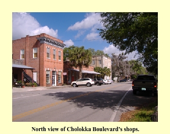 North view of Cholokka Boulevard's shops.