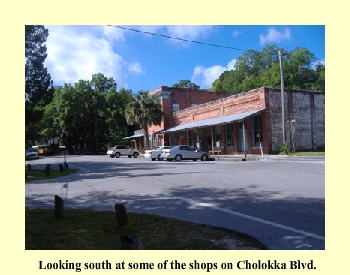 Looking south at some of the shops on Cholokka Blvd.