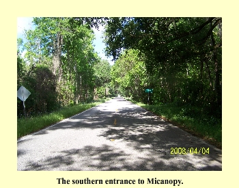 The southern entrance to Micanopy.