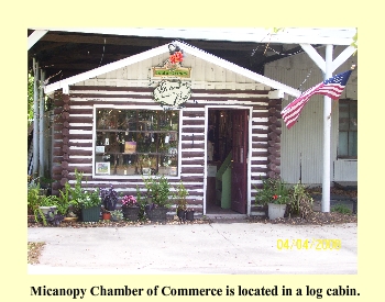 Micanopy Chamber of Commerce is located in a log cabin.