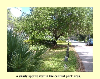 A shady spot to rest in the central park area.