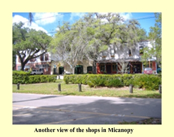 Another view of the shops in Micanopy