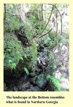 The landscape at the Bottom resembles what is found in Northern Georgia