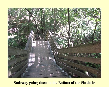 Stairway going down to the Bottom of the Sinkhole