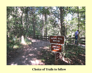 Choice of Trails to follow