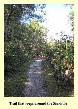 Trail that loops around the Sinkhole