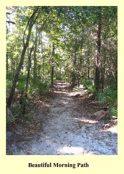 Beautiful Morning Path