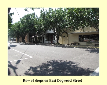 Row of shops on East Dogwood Street