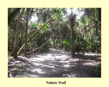 Nature Trail