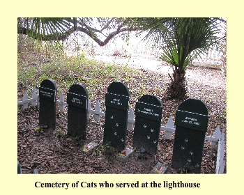 Cemetery of Cats who served at the lighthouse