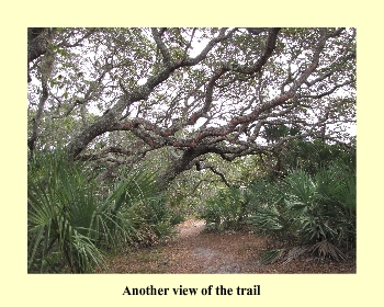 Another view of the trail