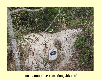 Turtle mound as seen alongside trail