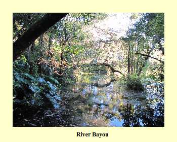 River Bayou