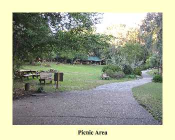 Picnic Area