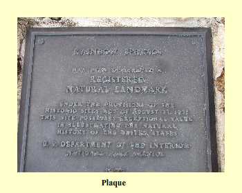 Plaque