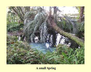 A small Spring