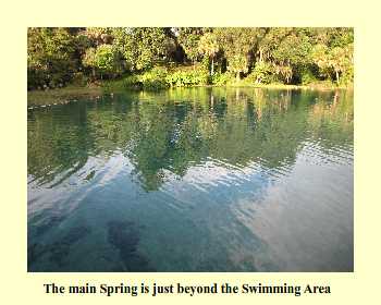 The main Spring is just beyond the Swimming Area