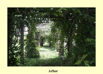 Arbor