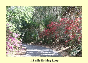 1.8 mile Driving Loop