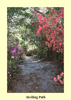 Inviting Path