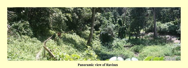 Panoramic view of Ravines