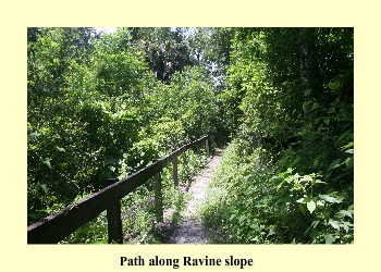 Path along Ravine slope