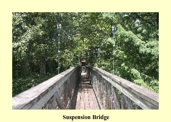 Suspension Bridge