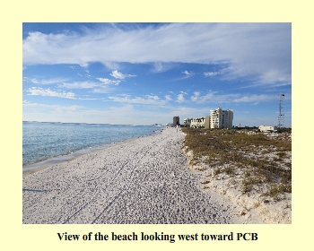 View of the beach looking west toward PCB