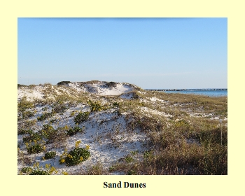 Sand Dunes