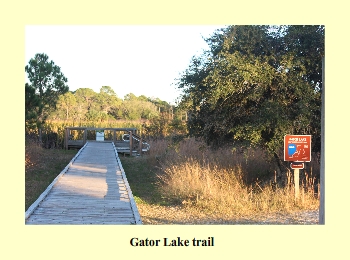 Gator Lake trail