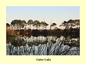 Gator Lake