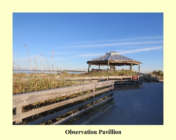 Observation Pavillion