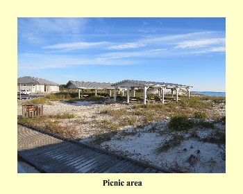 Picnic Area