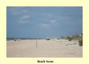 Beach Scene