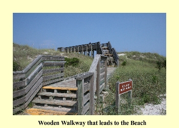 Wooden Walkway that leads to the beach.