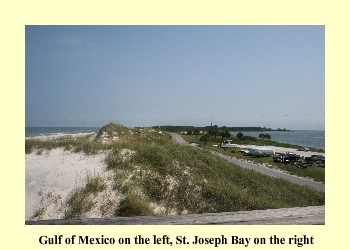 Gulf of Mexico on the left, St. Joseph Bay on the right.