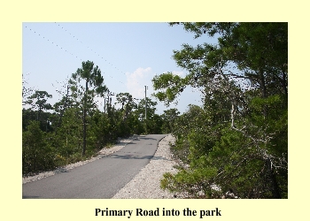 Primary Road into Park.