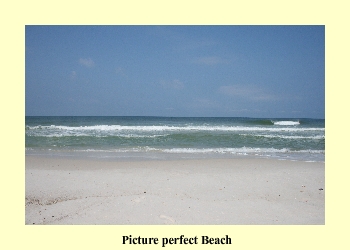 Picture perfect Beach