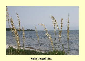 Saint Joseph Bay