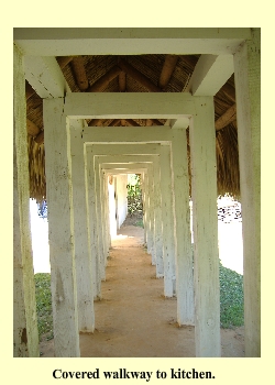 Covered walkway to Kitchen