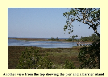 Another view from the top showing the pier and a barrier island