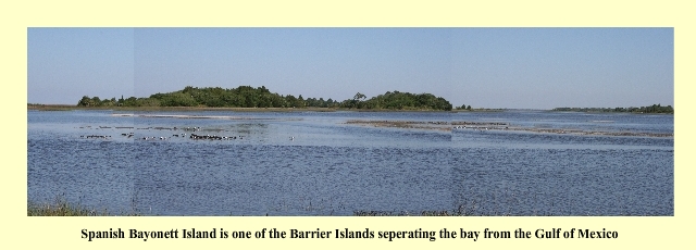 Spanish Bayonett Island is one of the Barrier Islands seperating the bay from the Gulf of Mexico