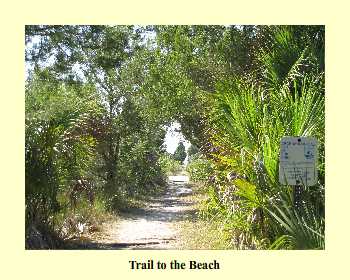 Trail to the Beach